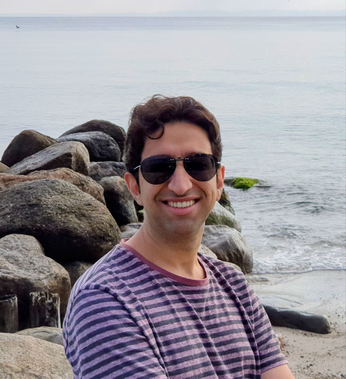 Mohammad-Ali Nikouei Mahani